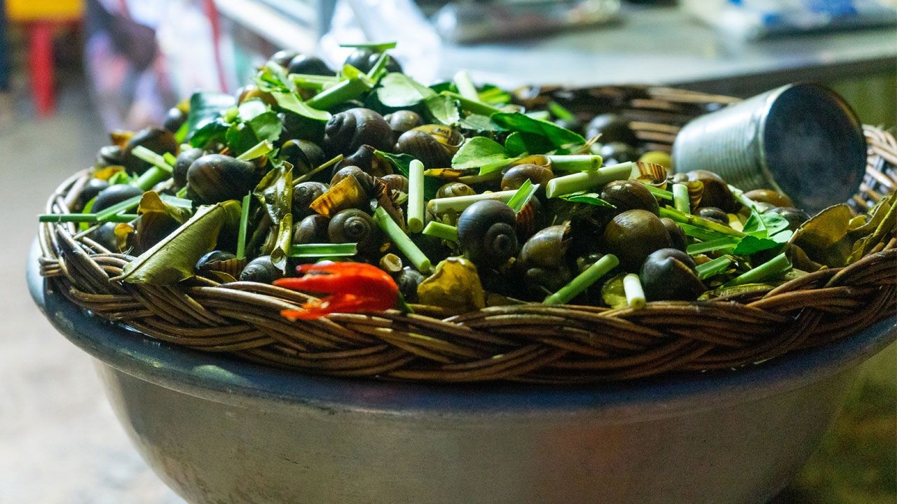 Siem-Reap-food-tours19010.jpg