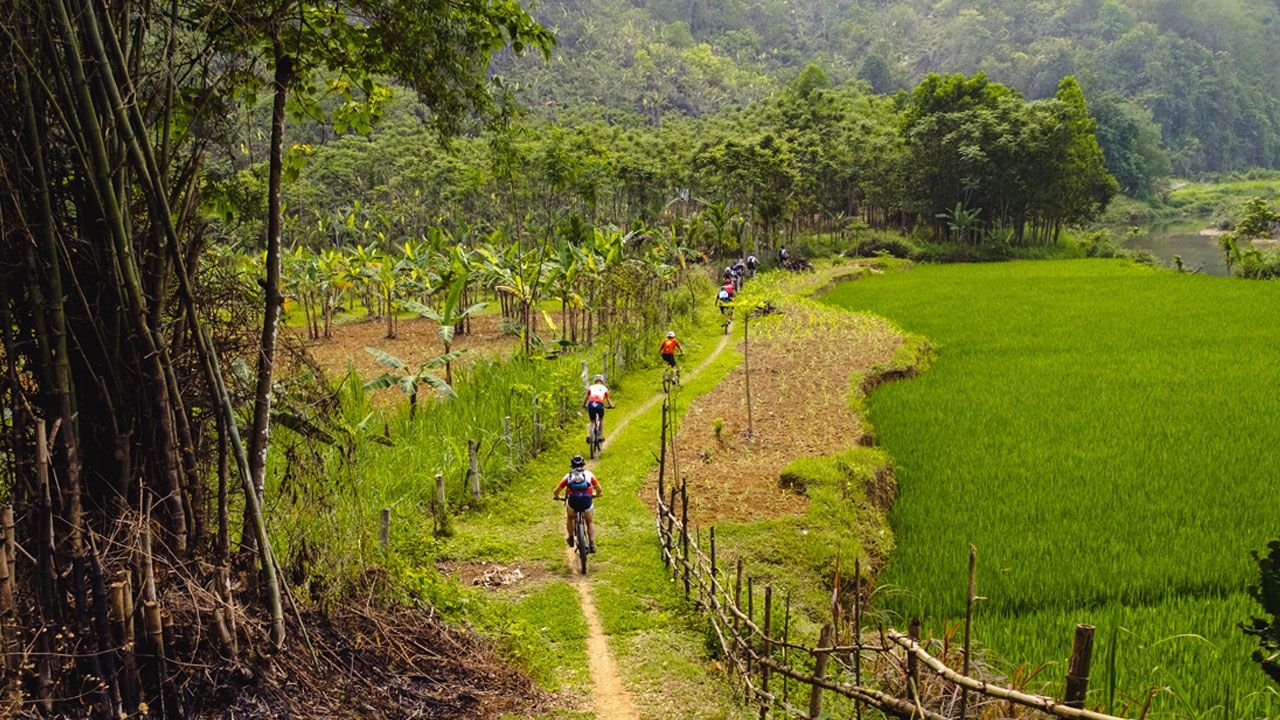 vietnam-cycling608.jpg